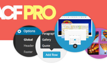 Advanced Custom Fields Pro v6.2.10